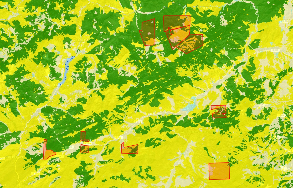Ruhsat, saha ve taşınmaz harita görünümü
